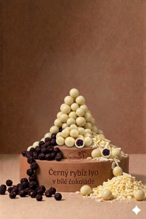Blackcurrant lyo in white chocolate 5 kg